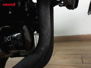 BENELLI LEONCINO 800