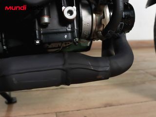 BENELLI LEONCINO 800