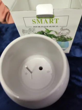 2 Macetas Inteligentes Musicales