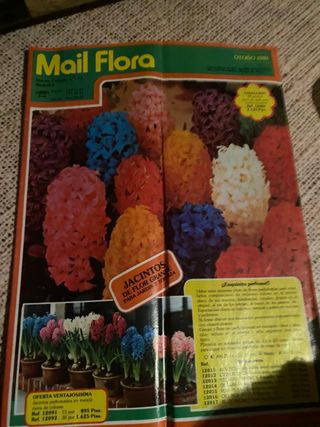 Revista vintage mail flora