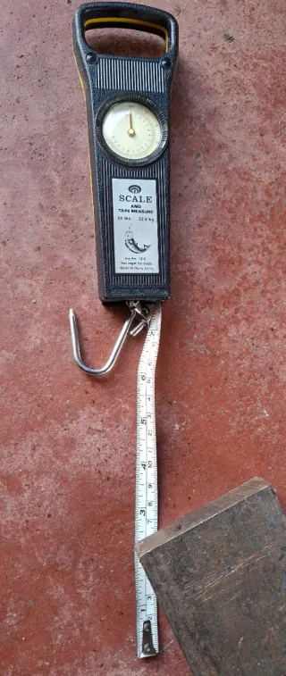 Bilancia manuale con gancio e metro