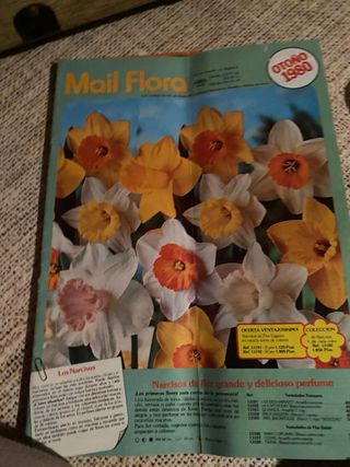 Revista vintage mail flora