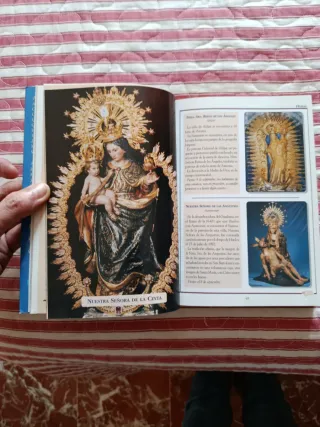 Libro guía de peregrinaciones y Santuarios