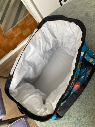 Nevera portátil bolsa isotérmica peces