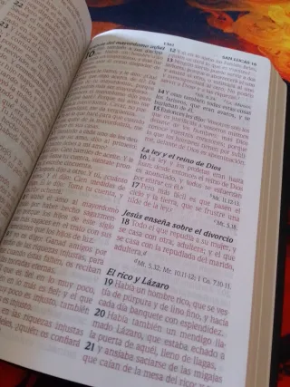 Biblia RVR 1960 Letra Grande Tamaño Manual