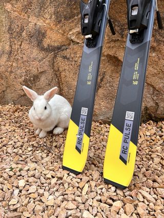 NUEVOS !! Esquís Fischer RC Pulse SLR Pro