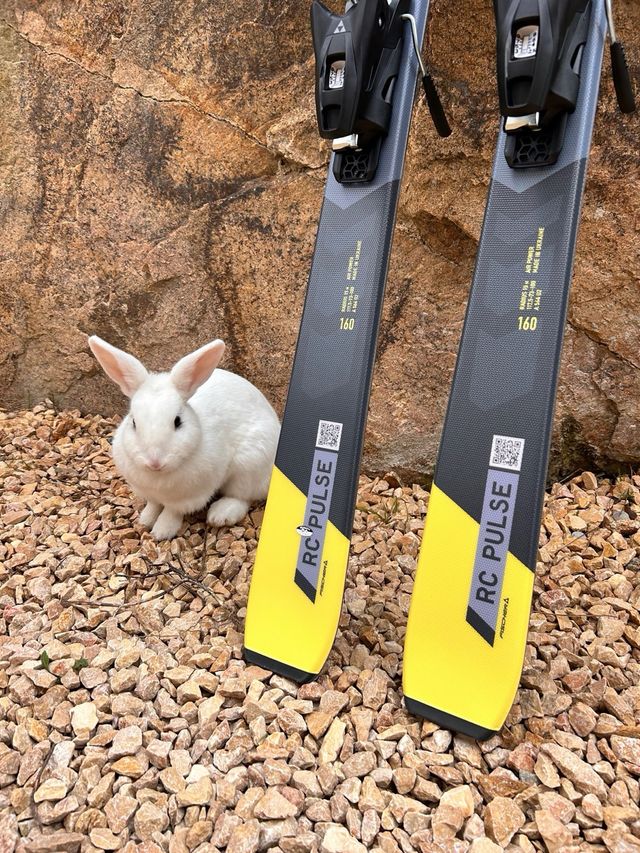 NOVOS!! Esquis Fischer RC Pulse SLR Pro