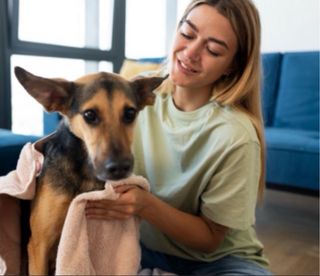 Cuidadora/paseadora de perros y/o gatos