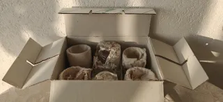 Vendo per cessazione attività set da 6 bicchieri d