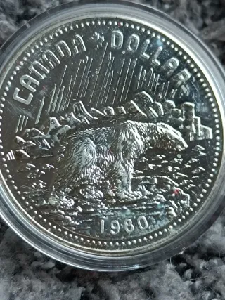Moneda Plata Canadá 1 Oso Polar 1980 versión proof