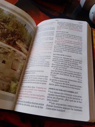 Rvr 1960 Biblia Letra Grande Tamaño Manua