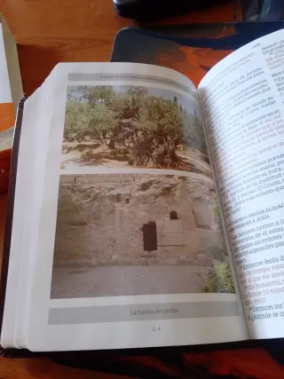 Rvr 1960 Biblia Letra Grande Tamaño Manua