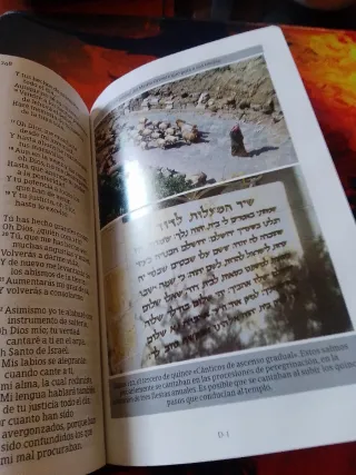 Rvr 1960 Biblia Letra Grande Tamaño Manua