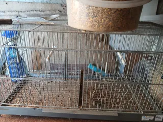 Jaula para pájaros 58cm 26 de alto