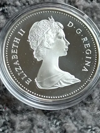 Moneda Dólar Canadiense 1981 Plata
