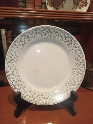 Plato antiguo China Opaca Santander