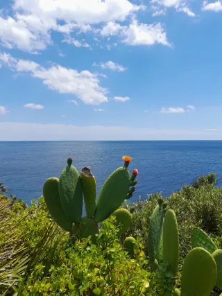 Piso apartamento Salou - La Pineda