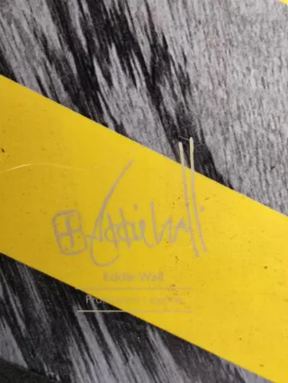 Tabla Snowboard Forum Pro Eddie Wall 156