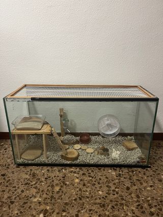 Jaula para hámster con accesorios
