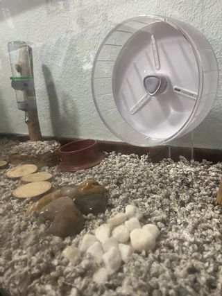 Jaula para hámster con accesorios