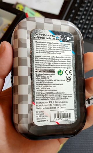 Pokémon - Due tin e una moneta