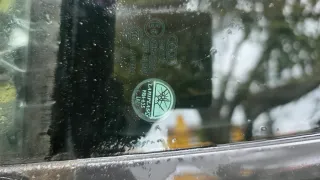 Elevalunas Traseros Audi A4 Avant B7