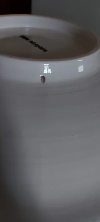 Piatti decorativi blu e bianchi