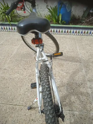 Bicicleta de montaña mujer 26