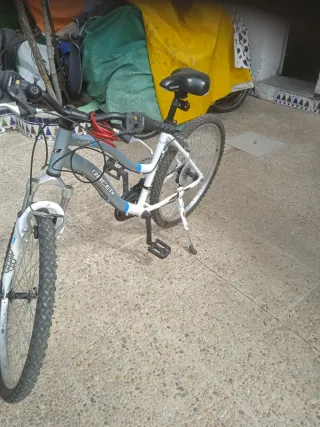 Bicicleta de montaña mujer 26