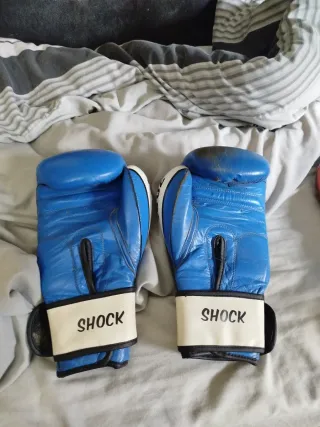 Guantes de Boxeo Leone 16oz Azul