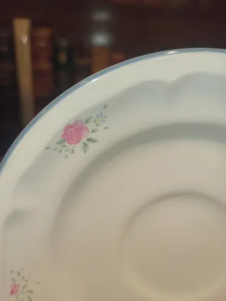 Plato antiguo JMP Newcor Tailandia