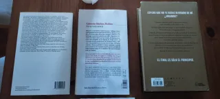 Rey blanco. Libro. Juan Gómez-Jurado.