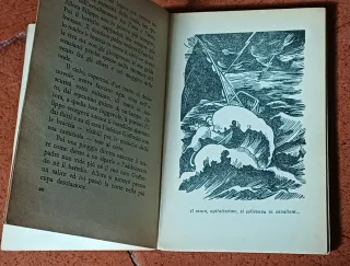 Il piccolo romito di Christoph von Schmid, 1954.