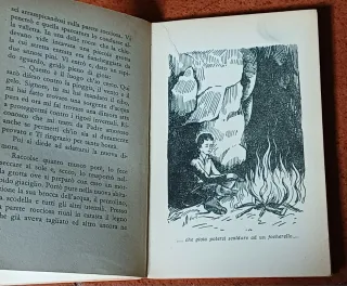 Il piccolo romito di Christoph von Schmid, 1954.