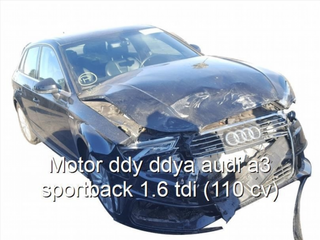 Motor DDY DDYA Audi A3 8P 1.6 TDI diésel 1