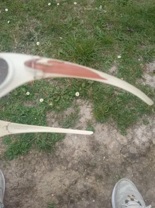 Gafas de sol Carrera beige