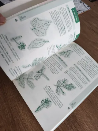 Libro la naturaleza en la montaña aragonesa