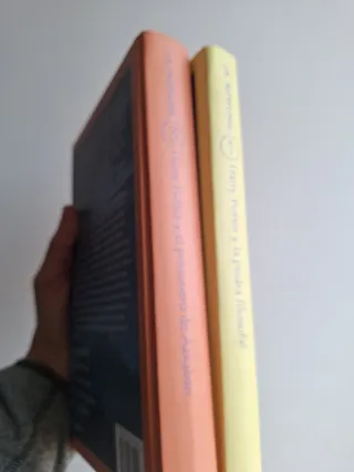 Harry Potter Y La Piedra Filosofal