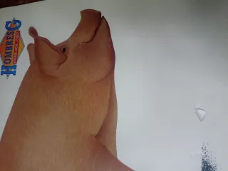 Lote 2 Vinilos Hombres G Pop Rock Español