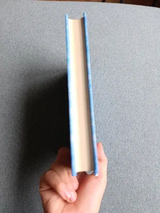 Diario de Greg 15 - Tocado y hundido