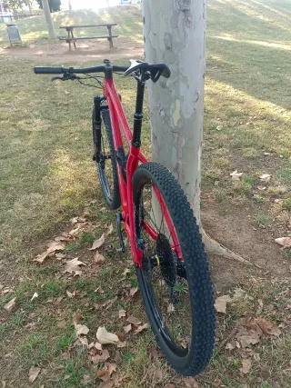 Megamo Factory - Bicicleta Montaña