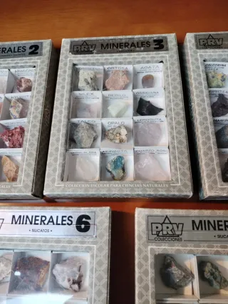 Collezione di minerali