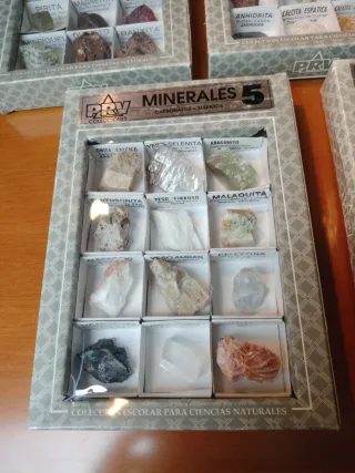 Collezione di minerali