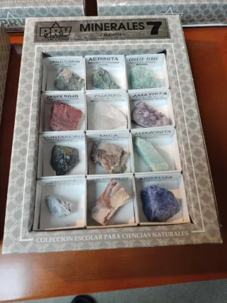 Collezione di minerali