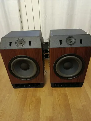 Altavoces Bose Negros y Marrones