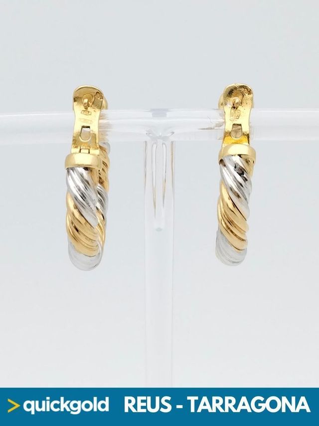 035-04-00446 AROS ORO BICOLOR DE 18K ENTRELAZADOS