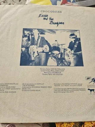 Vinilo LP Echo and the Bunnymen Crocodiles