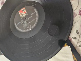 Vinilo LP Echo and the Bunnymen Crocodiles