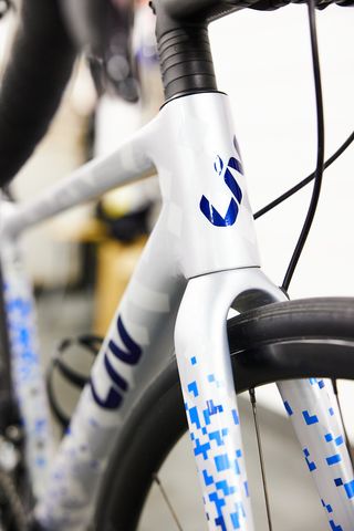 Bicicleta Liv Langma Carretera Gris