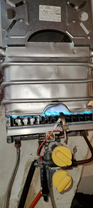 Calentador Edessa Gas Butano 10L